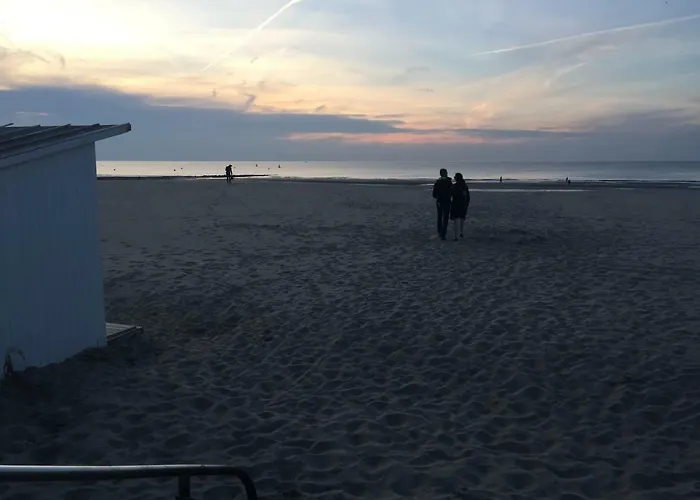 Lejlighed Deluxe With Shared Pool *